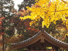 於　池田　久安寺。