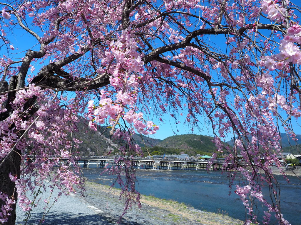 於　嵐山河川敷