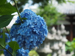 於　頼光寺