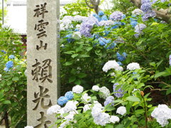 於　頼光寺。
