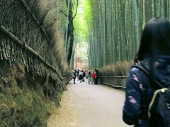 於　竹林。