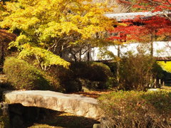 於　池田　久安寺。