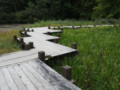 於　神戸森林公園。
