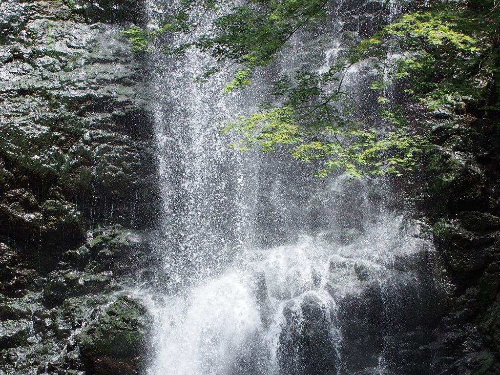 於　箕面大滝。