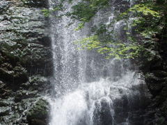 於　箕面大滝。