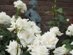 於　伊丹薔薇公園。