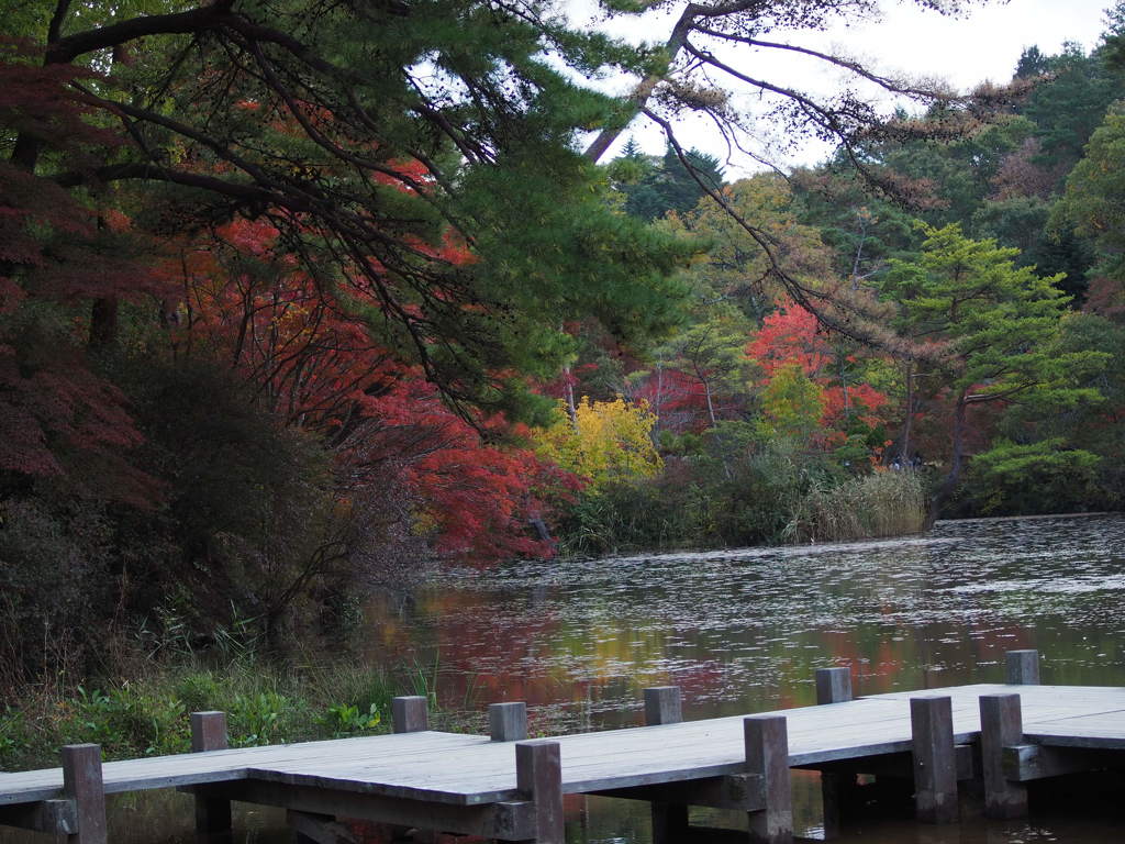 於　神戸森林公園。