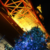 東京タワーにクリスマスを添えて