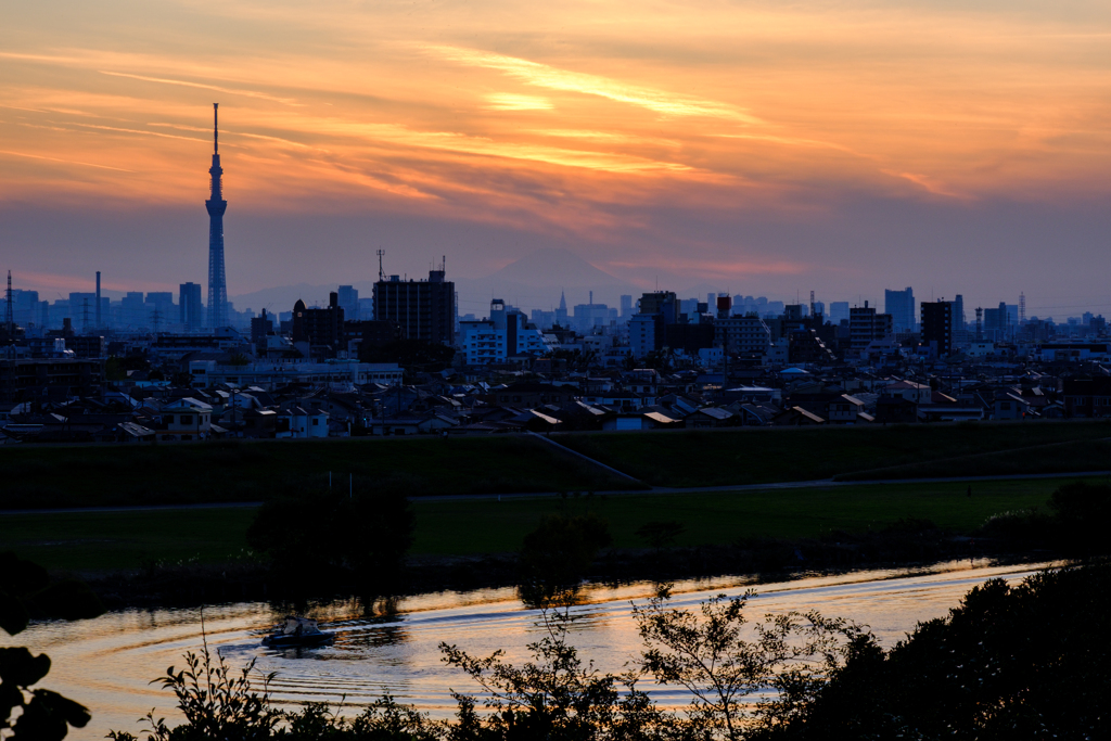 スカイツリーと富士山