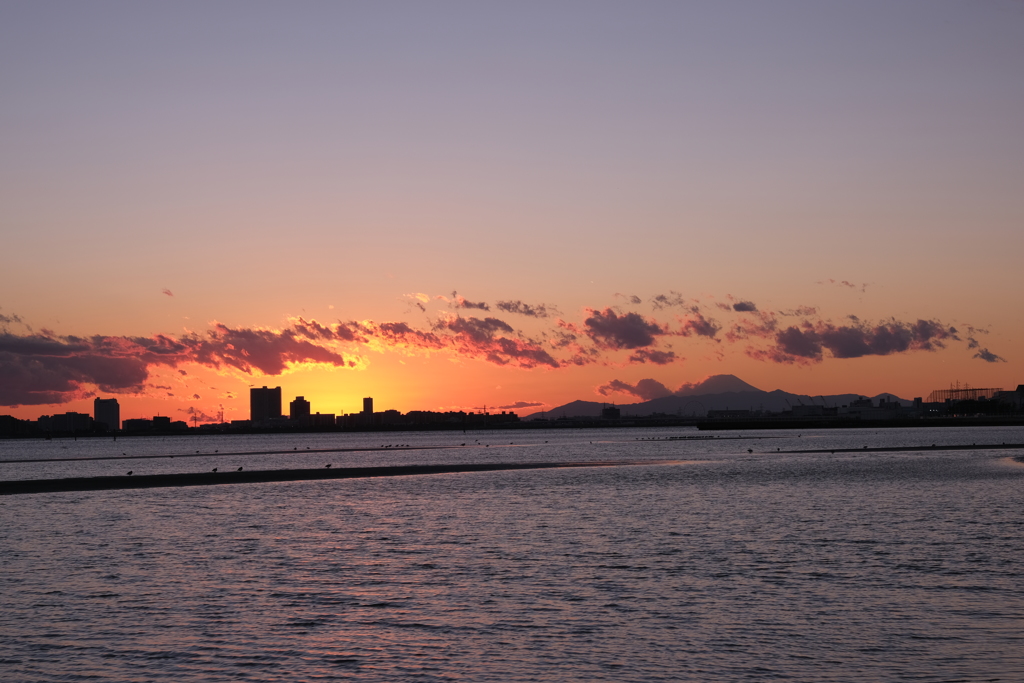 ふなばし三番瀬海浜公園の夕方