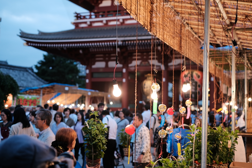 浅草寺のほおずき市