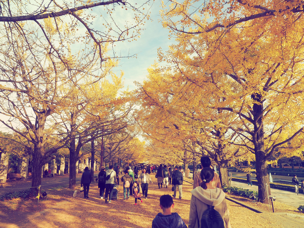昭和記念公園