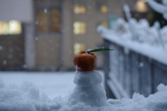 鏡餅雪