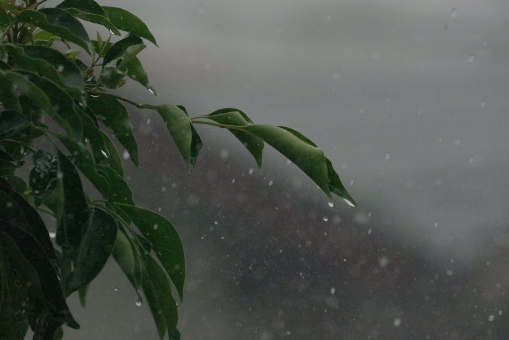 雨の日