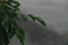 雨の日