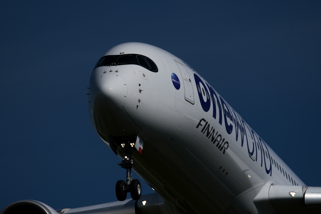 剃り残しのFINNAIR