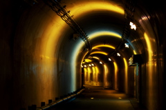 秘密基地トンネル
