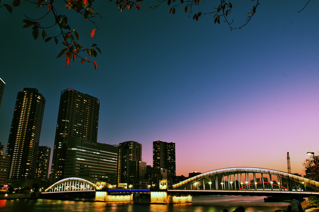 勝鬨橋　夕景　秋