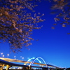 五色桜大橋と桜