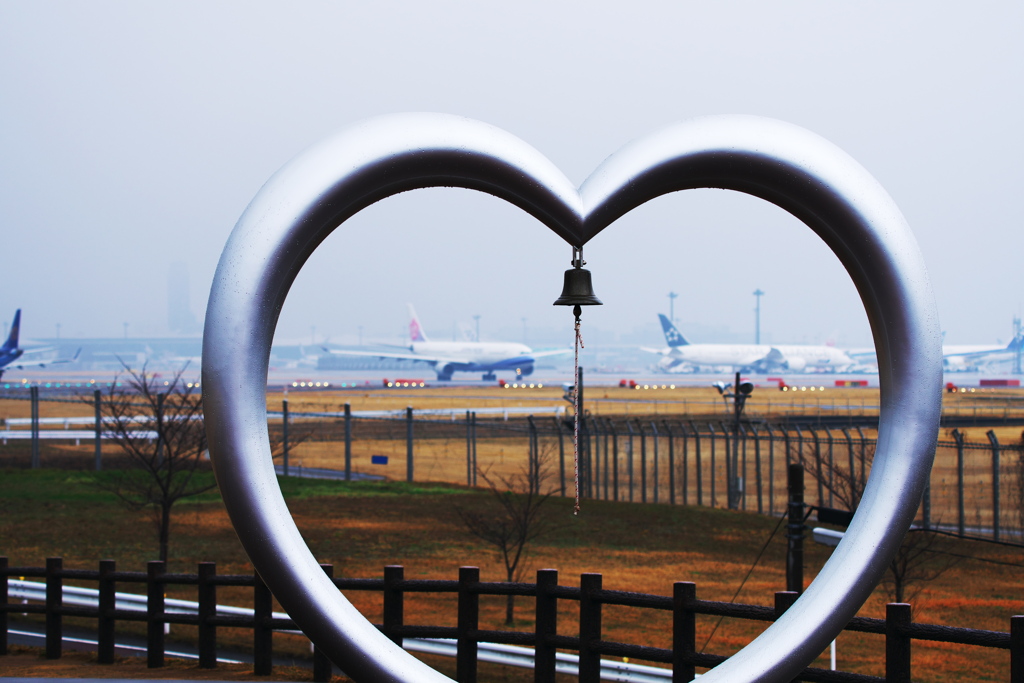 飛行機に恋してる