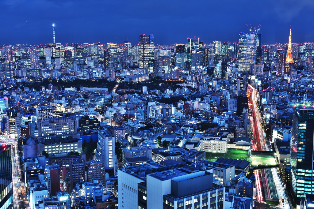 東京三大巨頭が一堂に見える場所