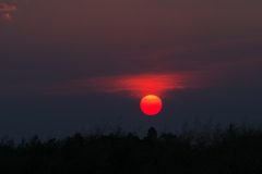 花札の坊主の様な夕日