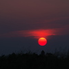 花札の坊主の様な夕日