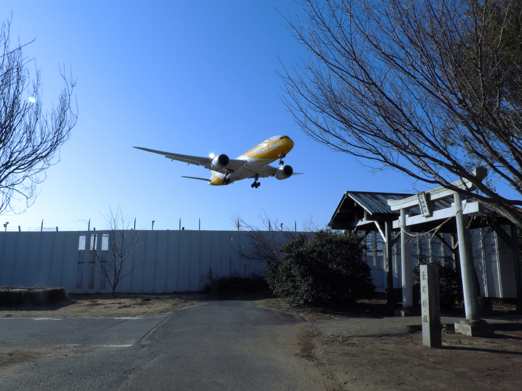 鳥居直上通過 