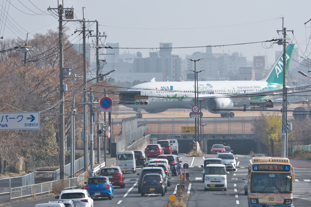 前略、歩道橋の上から第二章
