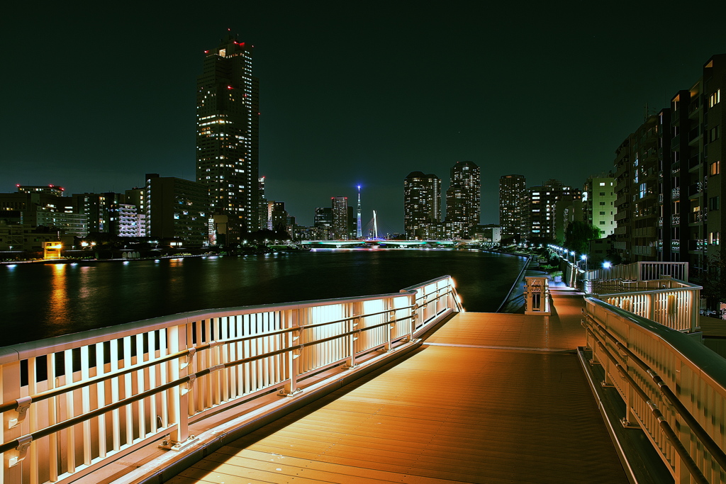 隅田川沿景