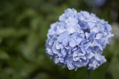 DSCF3114