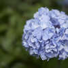 DSCF3114