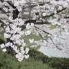 DSCF2498