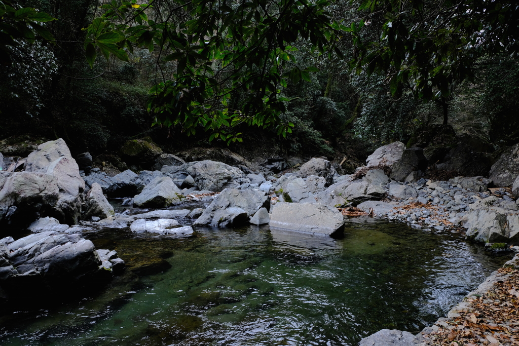 DSCF4156(1)