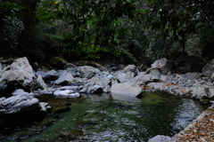 DSCF4156(1)