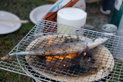 秋刀魚
