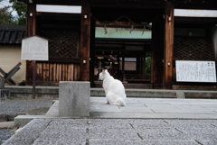 門