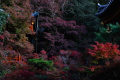 DSCF3457