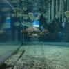 DSCF4157