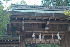 門