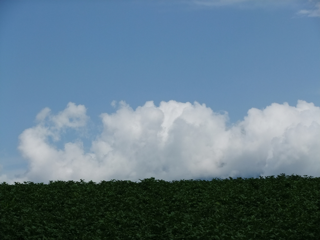 空と陸の境界線