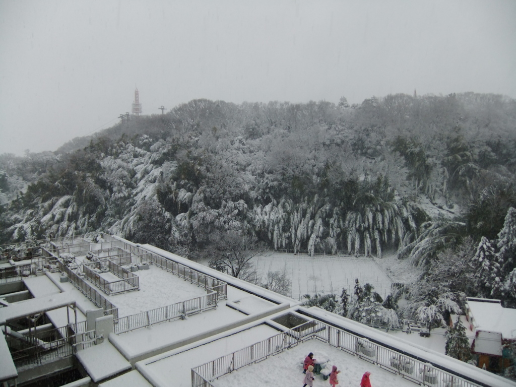 ここは東京都ですが何か?