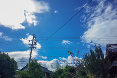 恋しい青空
