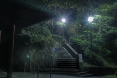 真夜中の掃部山公園入口