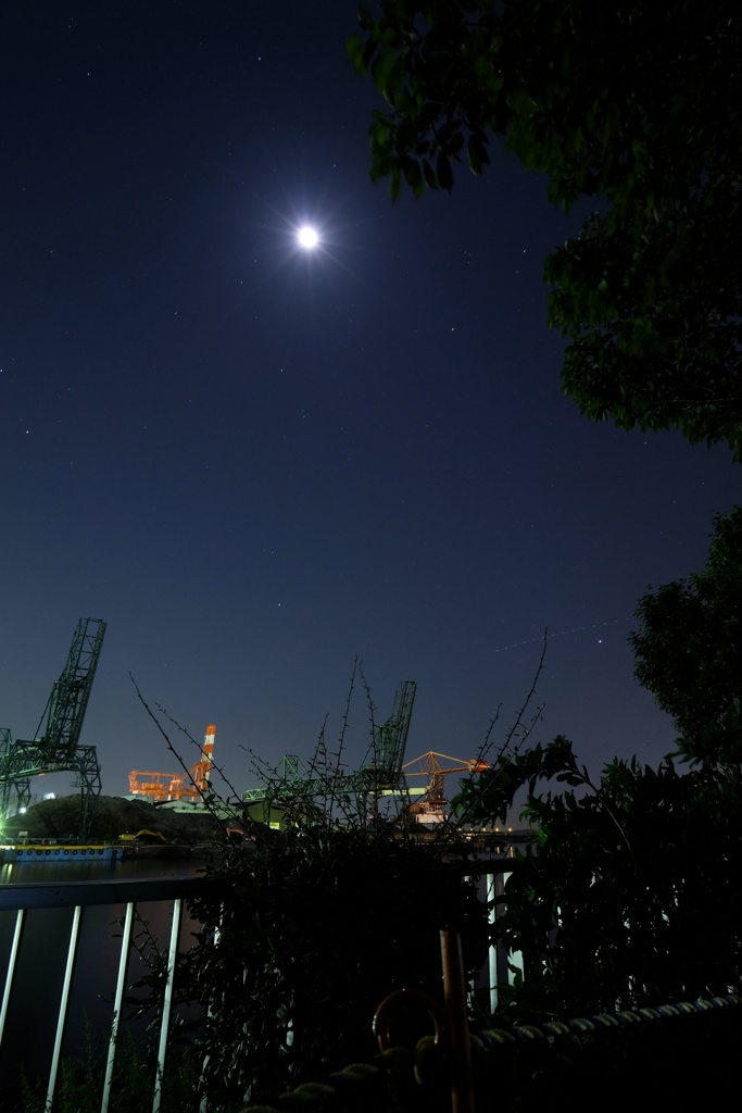 夜中の大川緑地(川崎市川崎区大川)