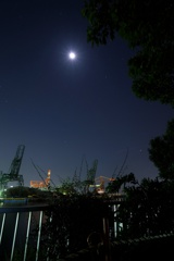 夜中の大川緑地(川崎市川崎区大川)