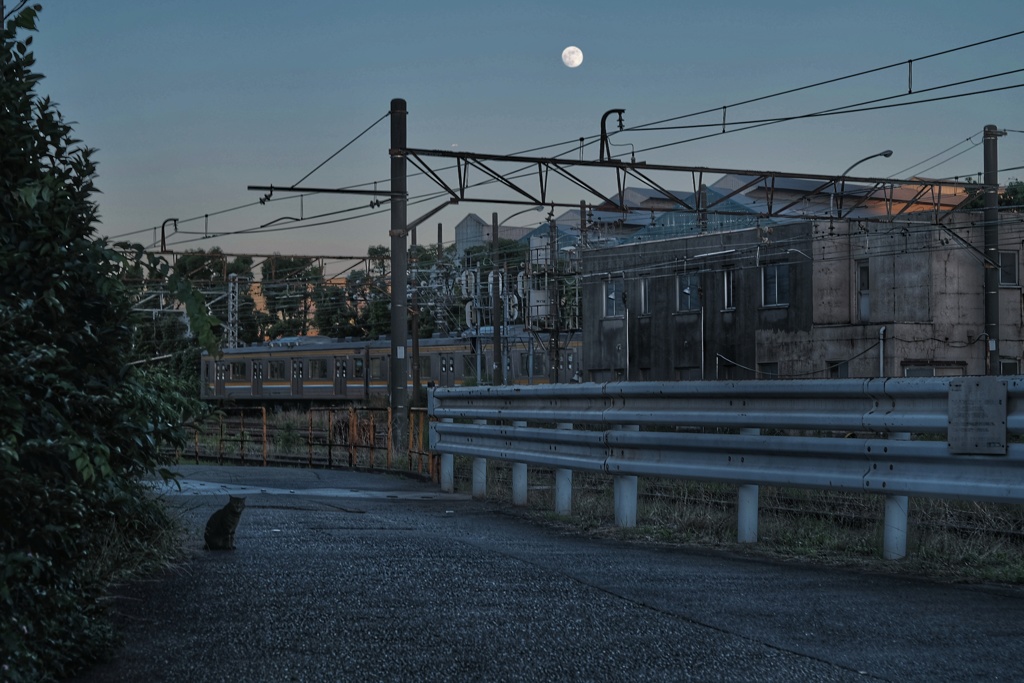 浜川崎 貨物駅 猫 月 鶴見線