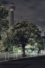 真夜中の横浜 山下公園 マリンタワー