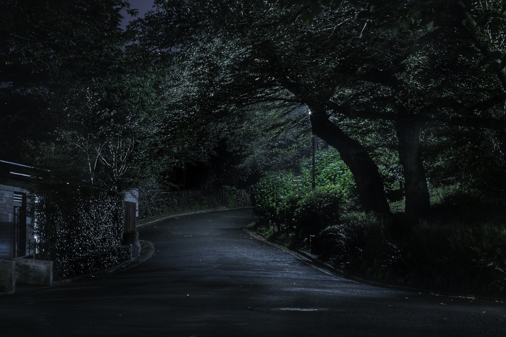 真夜中の掃部山公園