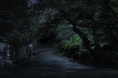 真夜中の掃部山公園